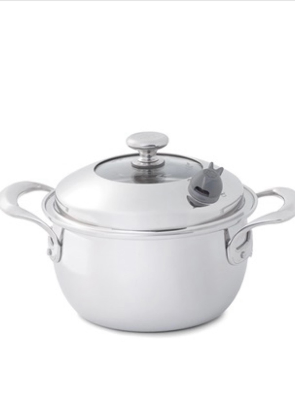 Princess House Stainless Steel White Stockpot with Glass Lid and Steam Vent